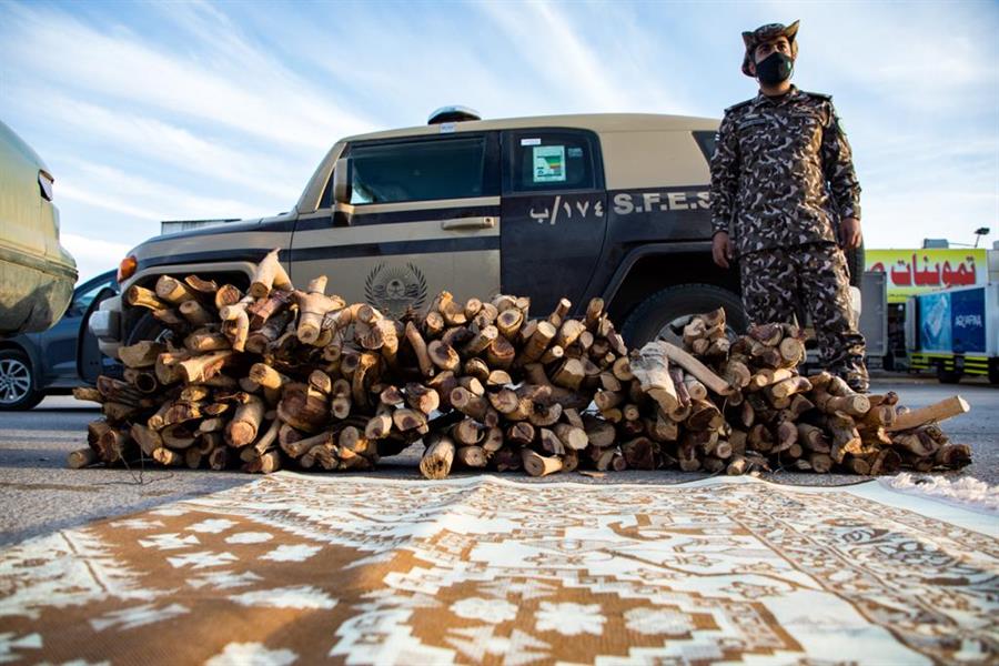 "Environmental security": 12 tons of local firewood were seized in the possession of 18 violators