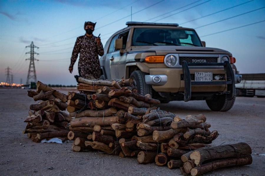 "Environmental security": 12 tons of local firewood were seized in the possession of 18 violators