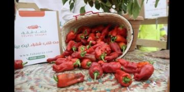 1.61 مليار دولار حجم سوق الفلفل عالميا في 2024
