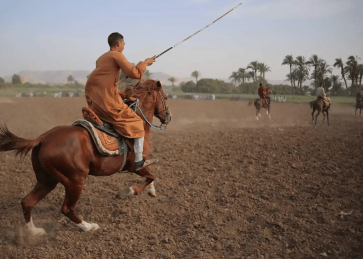 "المرماح".. كرنفال شعبي لاختبار قدرات الفرسان في التحكم بالخيل