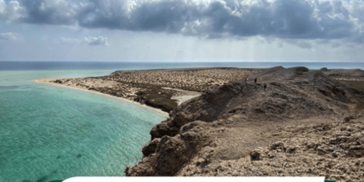 "جزيرة جبل الليث".. إحدى الوجهات السياحية الواعدة