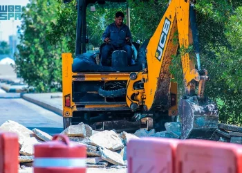 أمانة الشرقية تنفذ خطة تحسين المشهد الحضري وتزرع 82 ألف زهرة في بقيق خلال نصف عام 2024
