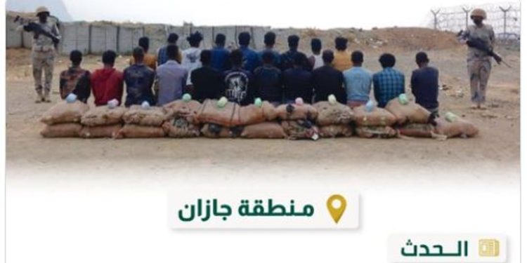القبض على 21 مخالفًا بمنطقة جازان لتهريبهم 320 كيلوجرامًا من نبات القات المخدر