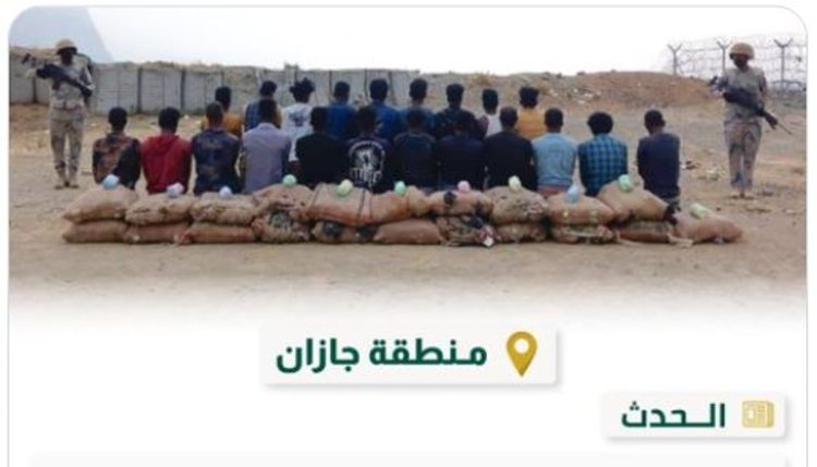 القبض على 21 مخالفًا بمنطقة جازان لتهريبهم 320 كيلوجرامًا من نبات القات المخدر