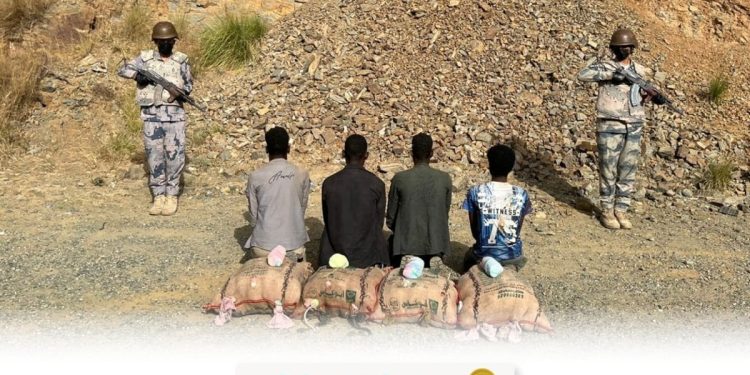 القبض على 4 مخالفين بجازان لتهريبهم 80 كيلوجرامًا من نبات القات المخدر