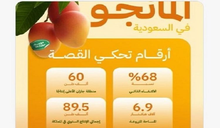 المملكة تحقق نسبة اكتفاء ذاتي من فاكهة المانجو بـ68%