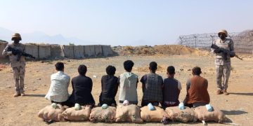 حرس الحدود بجازان يقبض على 7 مخالفين لنظام أمن الحدود لتهريبهم 115 كيلوجرامًا من نبات القات المخدر