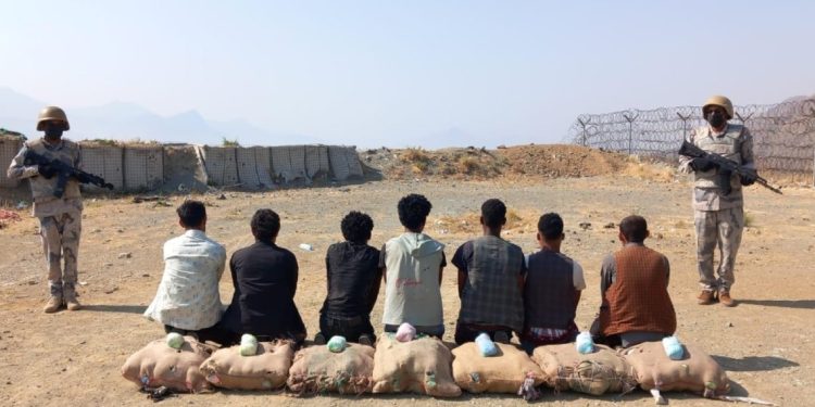 حرس الحدود بجازان يقبض على 7 مخالفين لنظام أمن الحدود لتهريبهم 115 كيلوجرامًا من نبات القات المخدر