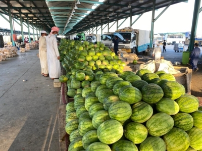 خُطط لرفع إنتاج البطيخ في المملكة