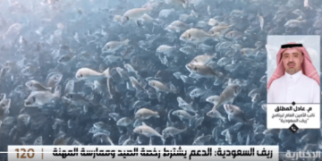 نائب "ريف السعودية": عدد الصيادين السعوديين تجاوز 8700 صياد هذا العام
