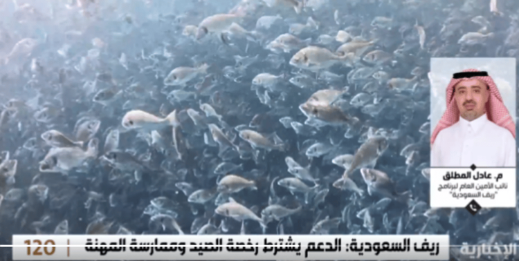 نائب "ريف السعودية": عدد الصيادين السعوديين تجاوز 8700 صياد هذا العام