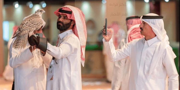 13 مزرعة إنتاج محلية تشارك في المزاد الدولي لمزارع إنتاج الصقور