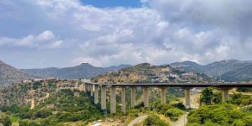 أشجار الباحة المعمرة.. لوحة جمالية ساحرة