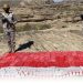 إحباط تهريب 239,500 قرص خاضع لتنظيم التداول الطبي بعسير