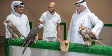 إيطالي ينتقل إلى المملكة هوايةً بالصقور ويشارك في المزاد الدولي