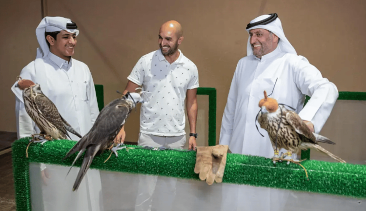 إيطالي ينتقل إلى المملكة هوايةً بالصقور ويشارك في المزاد الدولي