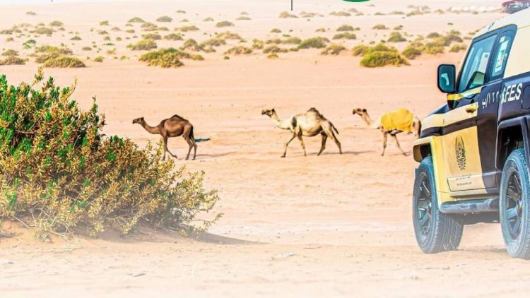 الأمن البيئي يقيم معرضًا توعويًا بخميس مشيط لتعزيز المحافظة على الموارد الطبيعية
