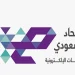 الاتحاد السعودي للرياضات الإلكترونية ونيكو بارتنرز يستعرضان إستراتيجيات توطين الألعاب في منطقة الشرق الأوسط وشمال أفريقيا