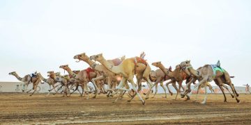 البلوي: الفوز بأشواط مهرجان ولي العهد مفخرة
