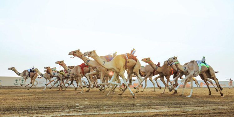 البلوي: الفوز بأشواط مهرجان ولي العهد مفخرة