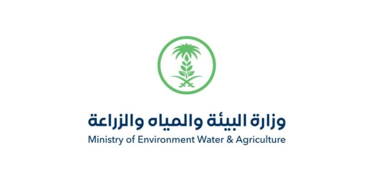 “البيئة”: 74 محطة ترصد هطول أمطار في 7 مناطق وعسير الأعلى كمية بـ 36.4 في أبها