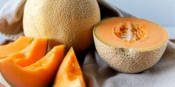 'البيئة': الشمام فاكهة غنية بالفوائد الصحية