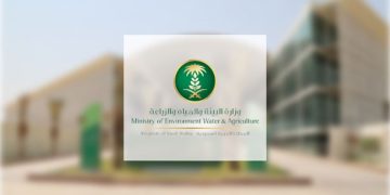 “البيئة” تطرح منافسة لإنشاء مزرعة أسماك بنظام “الأكوابونيك” على مساحة 40 ألف م²