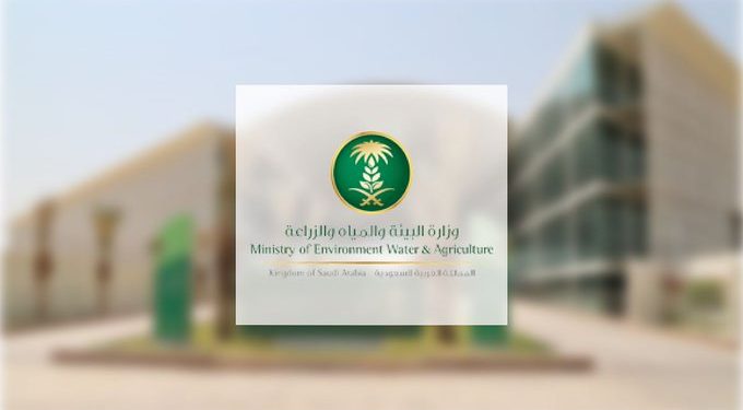 “البيئة” تطرح منافسة لإنشاء مزرعة أسماك بنظام “الأكوابونيك” على مساحة 40 ألف م²