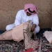 الصناعات الجلدية… موروث شعبي يعبر عن الحرفية والأصالة في نجران
