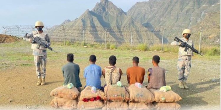 القبض على 5 مخالفين بجازان لتهريبهم 150 كيلوجرامًا من القات