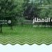 المدينة المنورة الأعلى كمية بـ37.4 ملم.. البيئة ترصد هطول أمطار في 8 مناطق خلال 24 ساعة