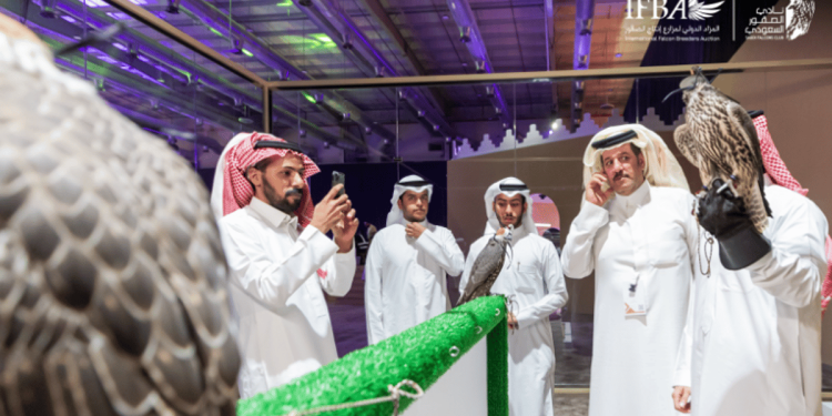 بقيمة 63 ألف ريال.. بيع صقرين في الليلة السادسة لمنصة المزاد الدولي لمزارع إنتاج الصقور 2024