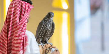 بيع 3 صقور بـ 122 ألف ريال في الليلة الرابعة لمنصة المزاد الدولي