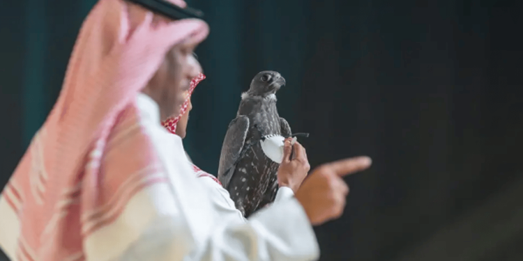بيع صقرين بـ 109 آلاف ريال في الليلة الثامنة للمزاد الدولي لمزارع إنتاج الصقور