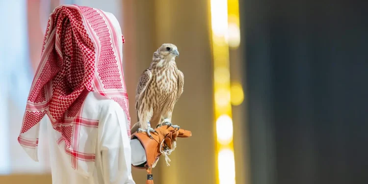 بيع صقرين بـ 241 ألف ريال في الليلة الأخيرة لمنصة المزاد الدولي لمزارع إنتاج الصقور 2024