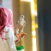 بيع صقرين بـ 241 ألف ريال في الليلة الأخيرة لمنصة المزاد الدولي لمزارع إنتاج الصقور 2024