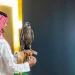 بيع صقرين في الليلة السادسة لمنصة المزاد الدولي لمزارع إنتاج الصقور 2024