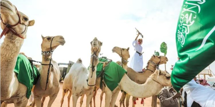 تقدر بـ98.7 مليون دولار أمريكي سنويا.. جلود الإبل في المملكة تدخل عالم الأزياء