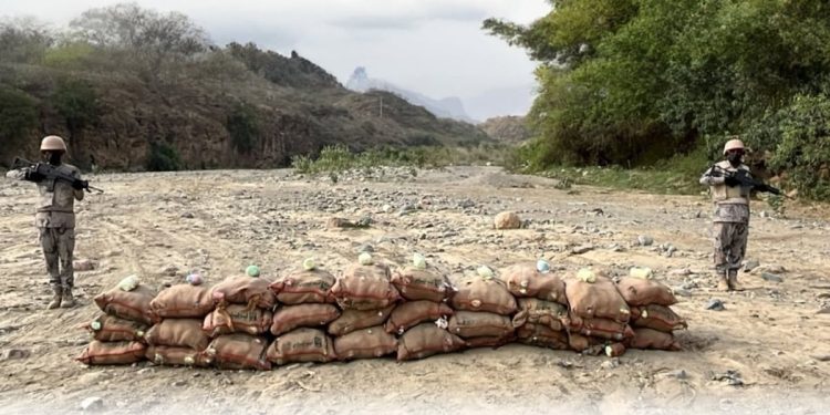 حرس الحدود بجازان يحبط تهريب 450 كيلوجرامًا من القات