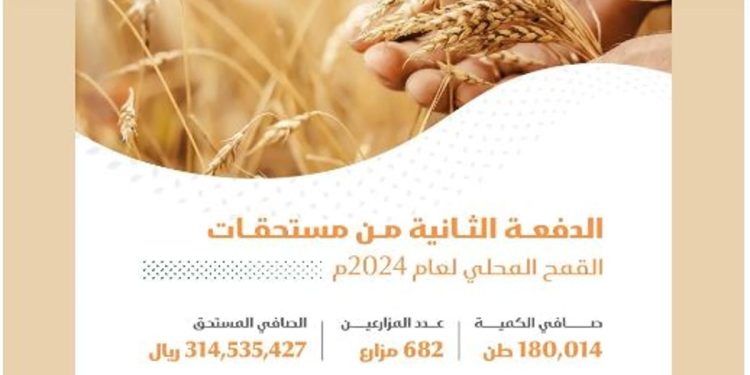 صرف 314 مليون ريال مستحقات الدفعة الثانية لمزارعي القمح المحلي