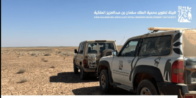 ضبط مركبة وشخصين مخالفين في منطقة حرة الحرة بمحمية الملك سلمان بن عبدالعزيز الملكية