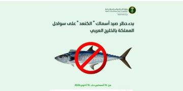 لمدة شهرين.. بدء سريان حظر صيد أسماك الكنعد في سواحل المنطقة الشرقية