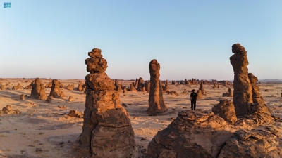 محمية الغراميل بالعلا.. جلسة مع النجوم