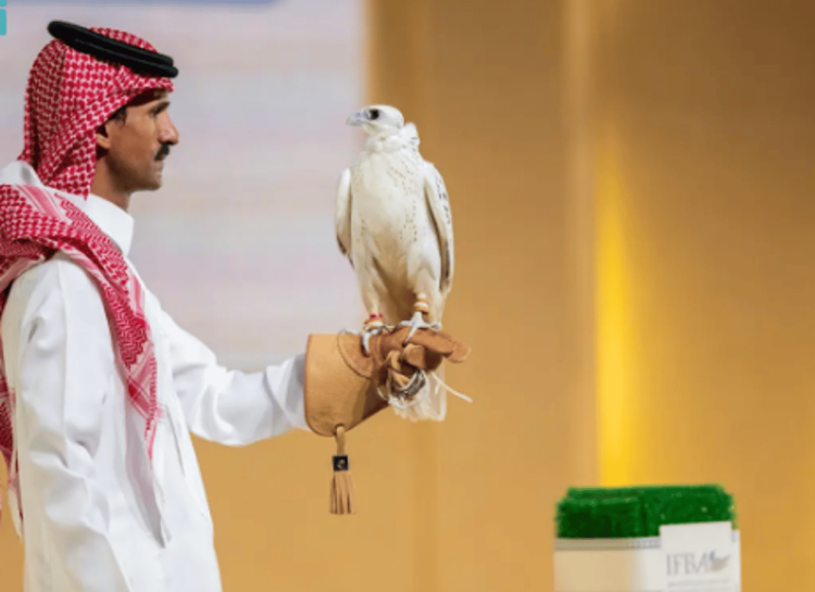 مزارع من 16 دولة تشارك في المزاد الدولي لإنتاج الصقور 2024