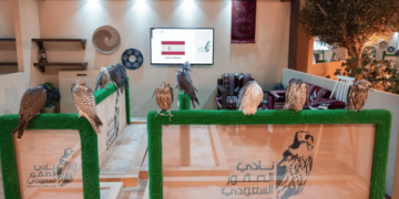 مزرعة كوسيرو الإسبانية تشارك في المزاد الدولي لإنتاج الصقور بـ 26 صقرًا