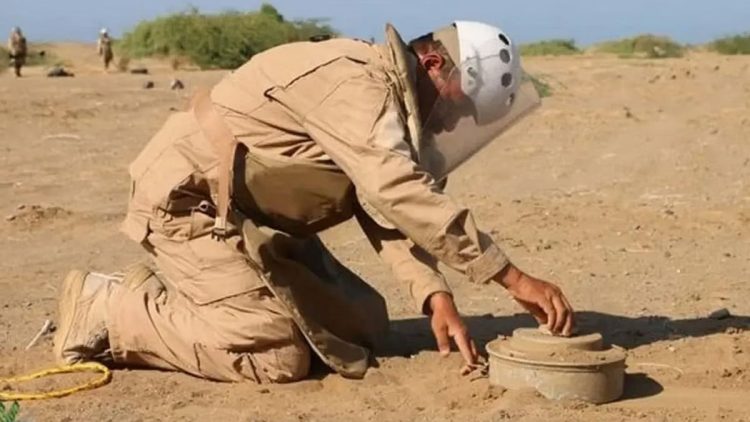 مشروع "مسام" ينتزع 1.139 لغمًا من الأراضي اليمنية خلال أسبوع