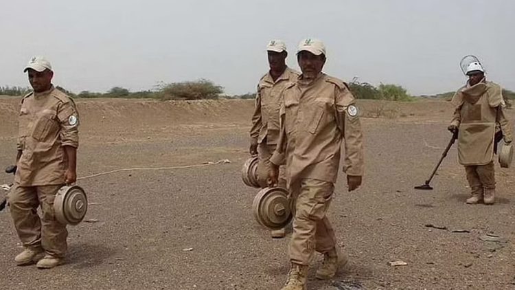 مشروع "مسام" ينتزع 670 لغمًا من الأراضي اليمنية خلال أسبوع