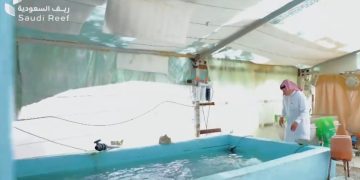 مواطن يبدع في الاستزراع السمكي ويحول فكرته إلى مشروع يثري القطاع الريفي شمال المملكة