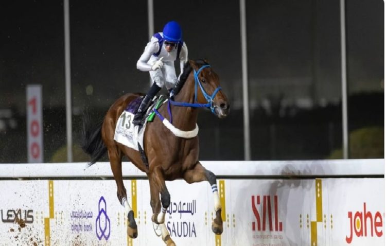 ميدان الملك خالد بالطائف.. يحيي سباقات الخيل بـ 27 شوطًا في أسبوعه السادس