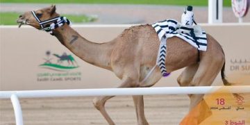 “نواره” تخطف نجومية الـ “جذاع”